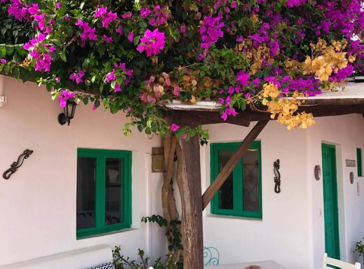Casa Vacacional Buganvilla Macher ภายนอก รูปภาพ